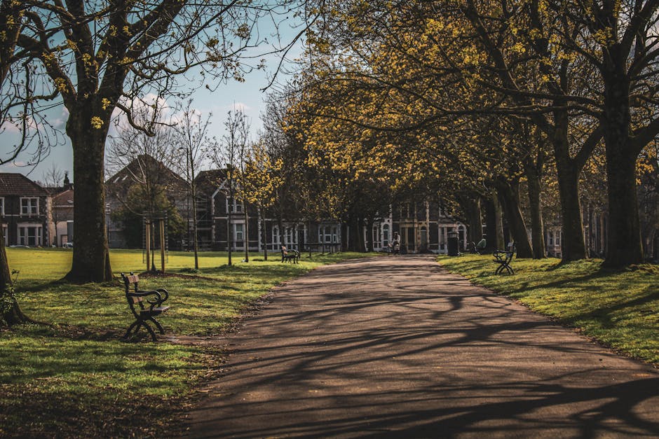 A wide, paved pathway within a park lined with tall trees casting long shadows across the ground. Several empty black metal benches are positioned along the edges of the path, and a few small, leafy trees are supported by wooden stakes. In the background, there are residential buildings with brick facades and gabled roofs, partially obscured by the trees. The park is bathed in warm, late afternoon sunlight, creating a peaceful and scenic environment. This setting illustrates a typical outdoor area where home relocation and furniture transport might take place, supporting the context of removals and moving services provided by Man with Van Grahame Park for residents or businesses within the area.