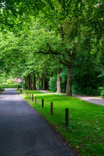 A residential street view in Grahame Park featuring several multi-story terraced houses with bay windows and brick facades, parked cars along the roadside, and leafless trees lining the pavement. In t