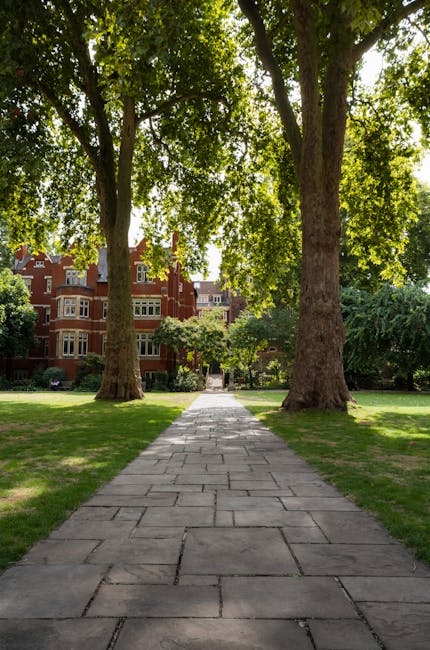 A narrow winding footpath made of concrete extends through a grassy area with patches of fallen leaves, leading toward a row of trees with sparse foliage, indicating late autumn. To the right, a large