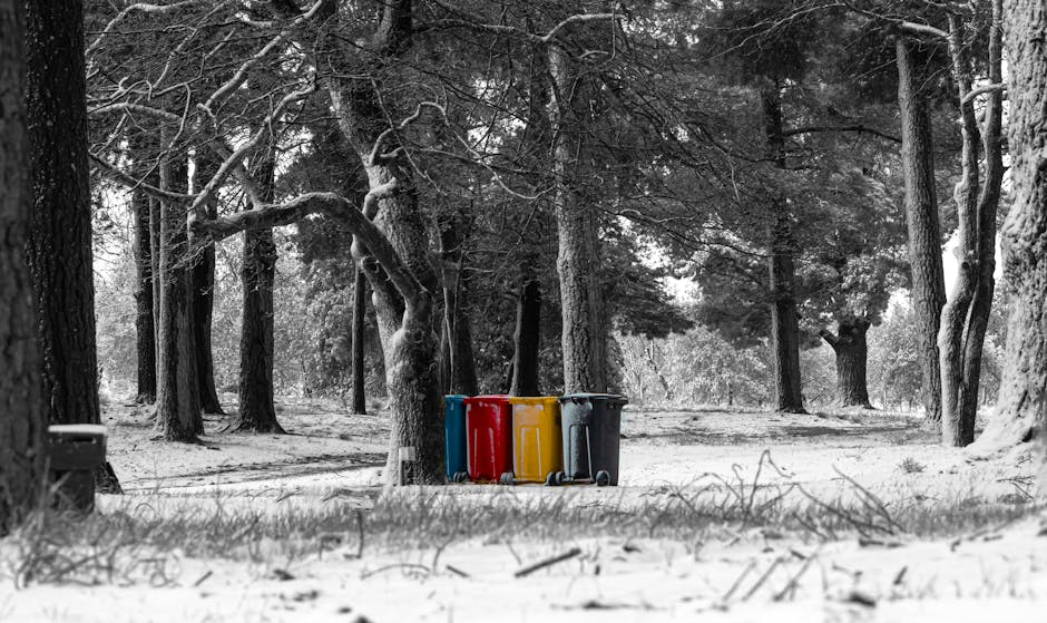 A row of four large wheeled rubbish bins with lids in red, yellow, blue, and black, positioned on a paved path inside a park surrounded by tall, leafless trees with textured bark and branches extending outward. The ground is covered with a light layer of snow, and the background shows more trees with some foliage visible amidst the winter scene. The lighting is diffuse, indicating an overcast day. The bins are aligned side by side, with the blue container closest to the camera. The area appears quiet and natural, with no people present. This image is relevant to removal and disposal services, such as those provided by Man with Van Grahame Park, especially when discussing waste disposal or bulky item disposal during house removals or relocation projects.