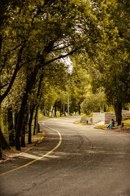 A quiet residential street in Grahame Park lined with tall, leafy trees providing shade over the tarmac road that curves gently to the left. The road features a double yellow line along the edge and is bordered by a sidewalk and grassy areas. In the background, there are brick and stone boundary walls enclosing private gardens or properties. A person wearing a turquoise jacket and dark trousers is sitting on a bench on the right side, near a large tree, possibly resting during a home relocation or packing process. The scene captures a calm, suburban environment, with natural light filtering through the tree canopy, suitable for a professional house removal service operating in the NW9 area, such as Man with Van Grahame Park, planning moves along routes avoiding narrow roads for efficient furniture transport and moving logistics.