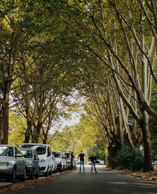 A quiet residential street lined with tall trees whose branches arch overhead, forming a leafy canopy. Several parked cars, mostly small and compact, are aligned along the left side of the asphalt road, which is free of traffic. Two individuals are visible near the center of the image, walking on the street; they appear to be engaged in conversation during a home relocation process. The scene is illuminated by natural daylight, with sunlight filtering through the leaves, casting dappled shadows on the pavement. The overall environment suggests a peaceful neighbourhood, possibly within an area where careful vehicle maneuvering is necessary, supporting moving and transport activities typical of house removals conducted by companies like Man with Van Grahame Park.