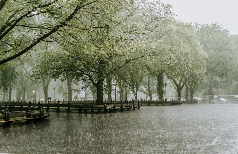 A rainy scene in Grahame Park showing a park surrounded by tall green trees with dense foliage, some of which have branches extending over a body of water. The water, possibly a pond or small lake, ha