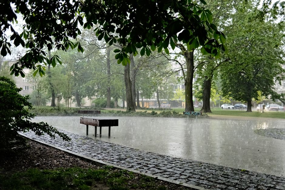 A rainy scene in Grahame Park showing a park surrounded by tall green trees with dense foliage, some of which have branches extending over a body of water. The water, possibly a pond or small lake, ha